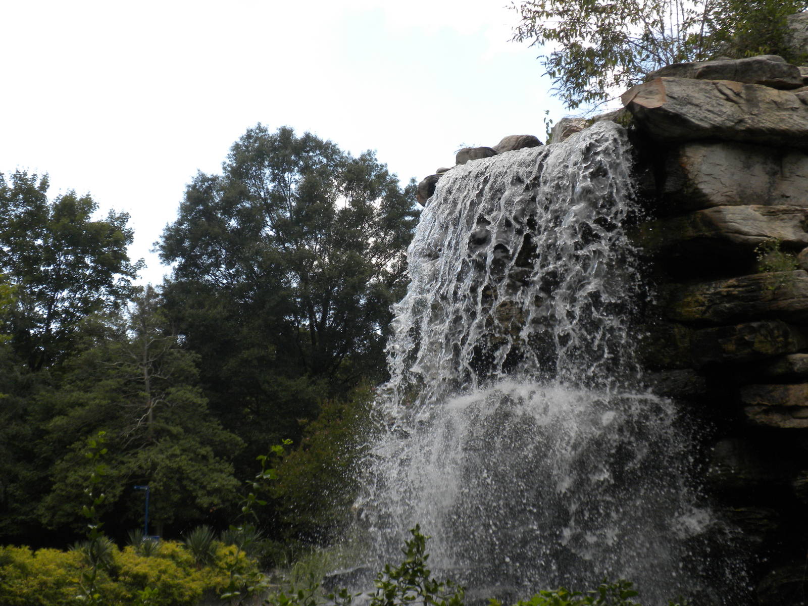 Lemur Island with no Lemurs