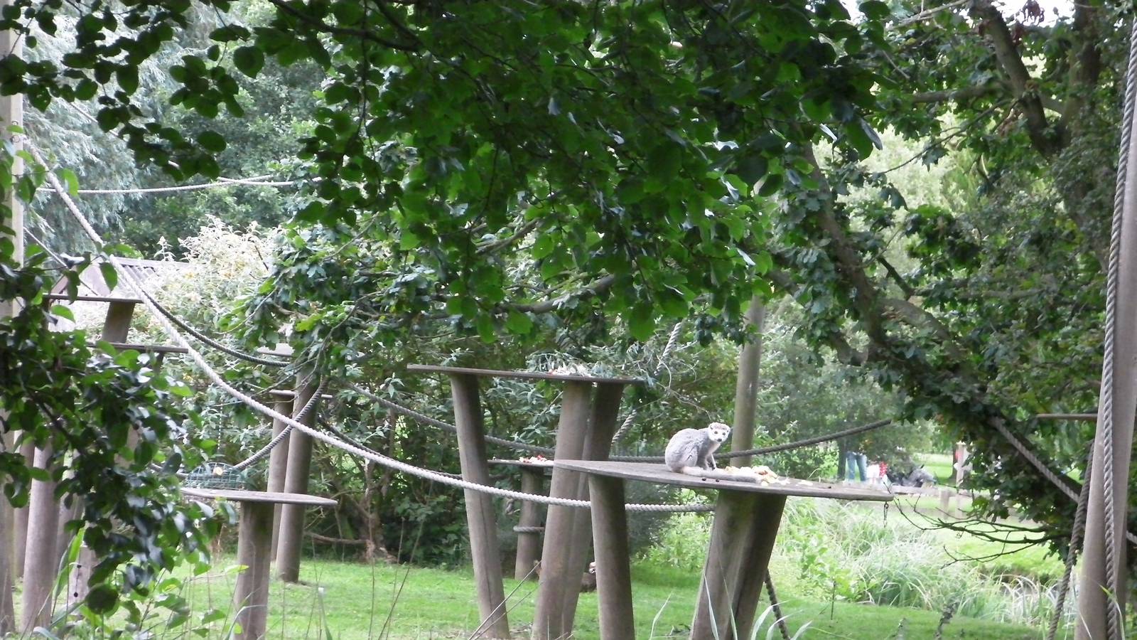 Lemur Islands - 29.07.2011