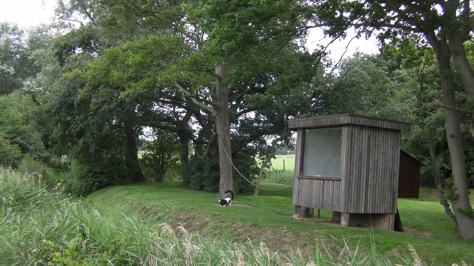 Lemur Islands - 29.07.2011