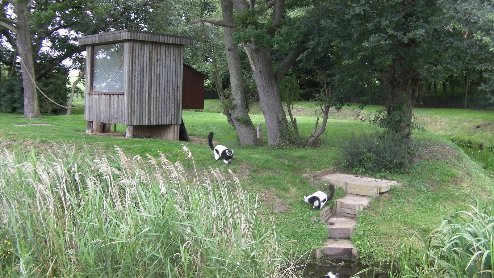 Lemur Islands - 29.07.2011