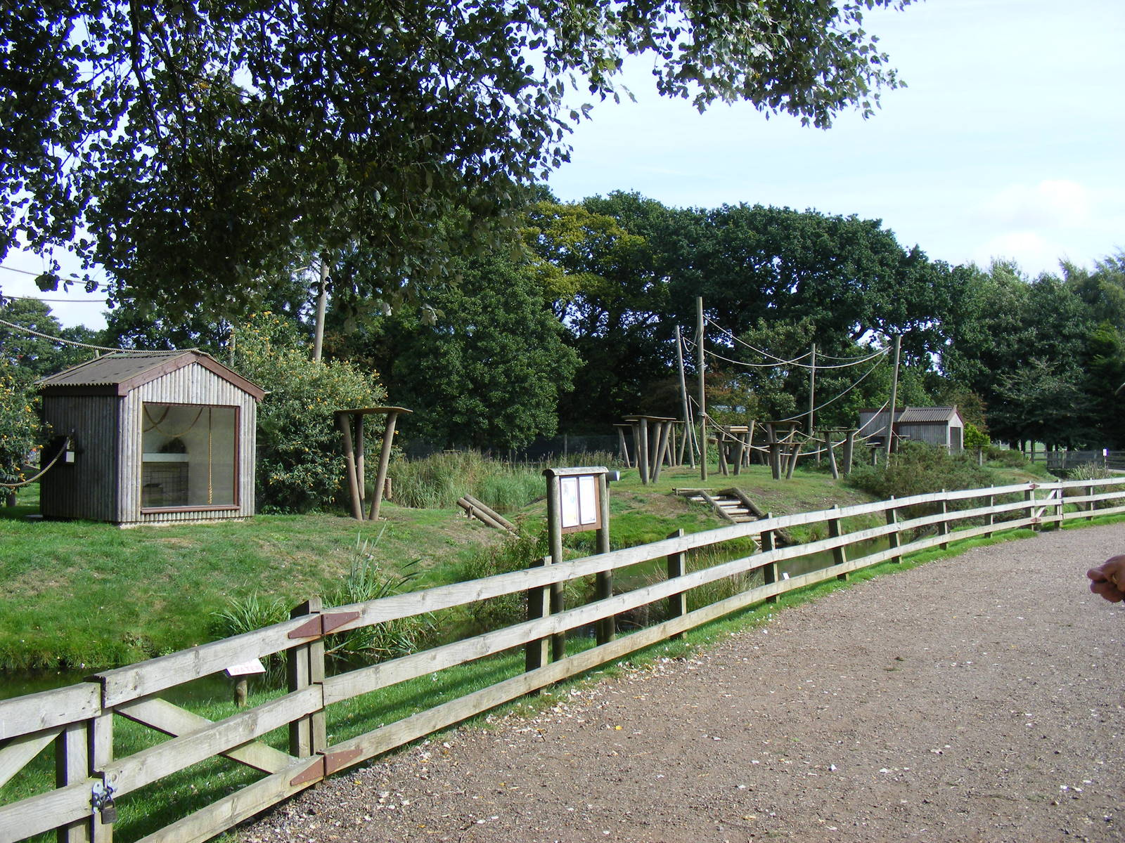 Lemur islands at Africa Alive!, 13 September 2010