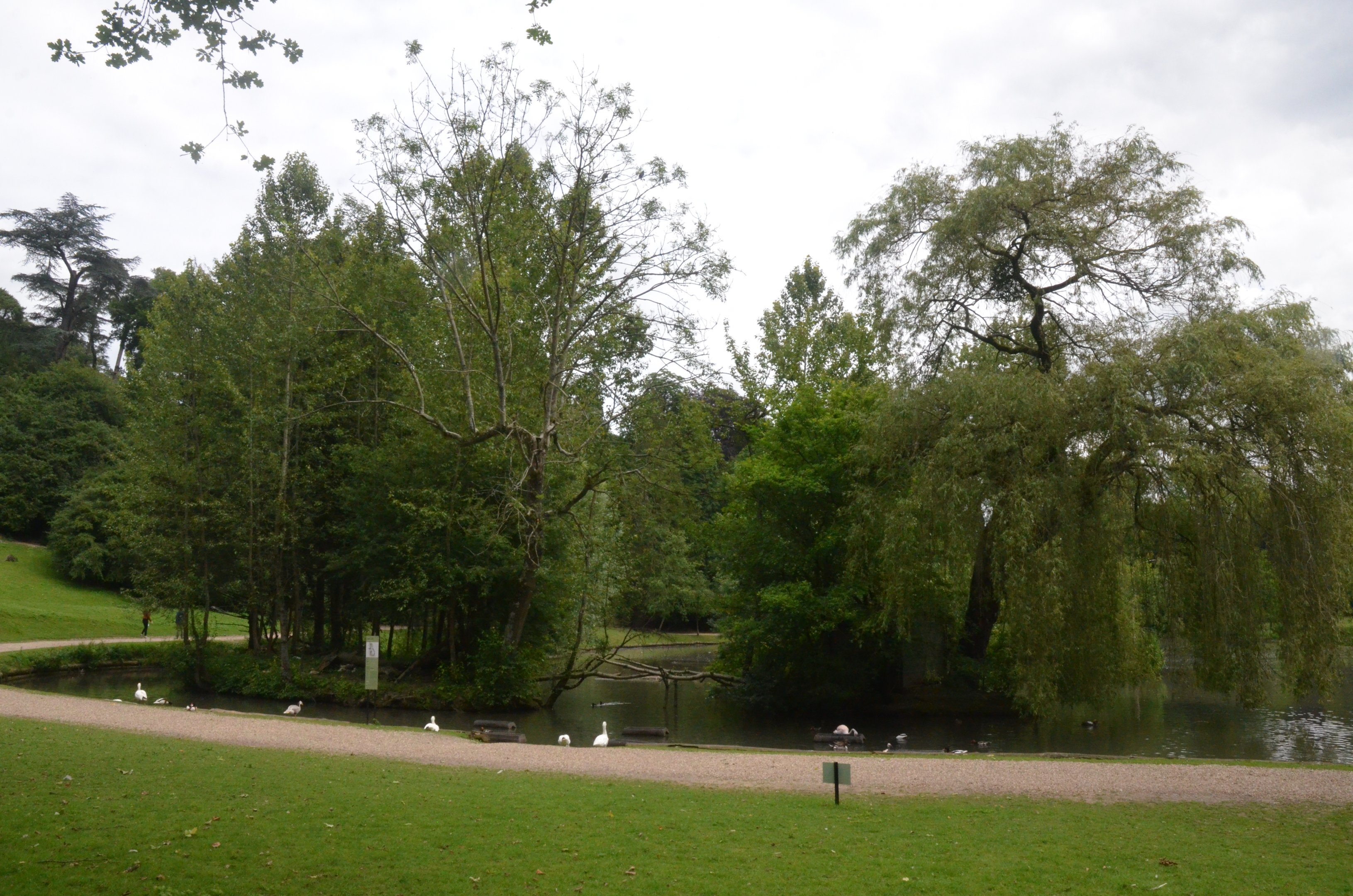 Lemur Islands at Clères, 16/06/18