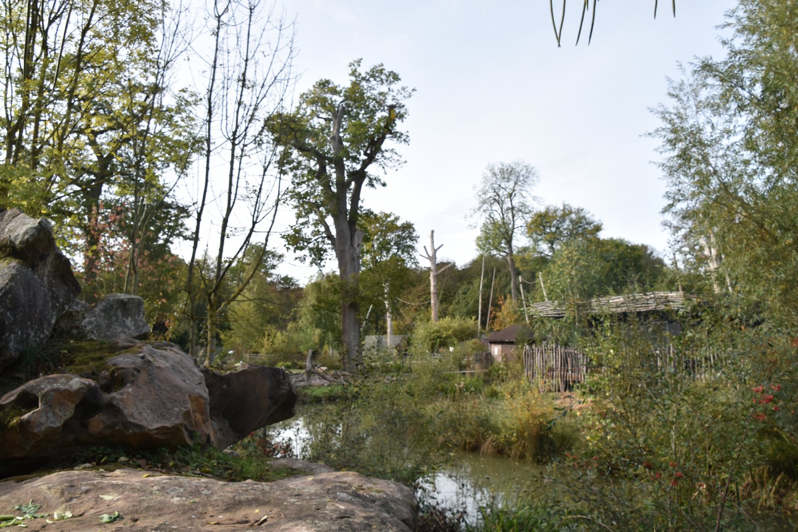 Lemur Islands at Thoiry - about 1/4 of the whole exhibit