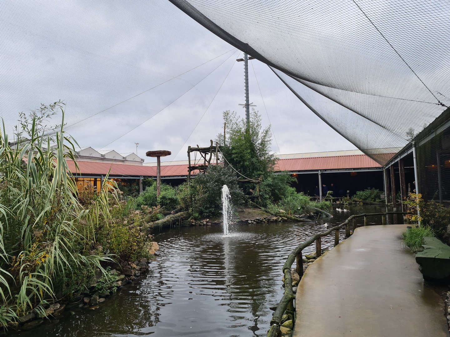 Lemur islands in Lemur kingdom