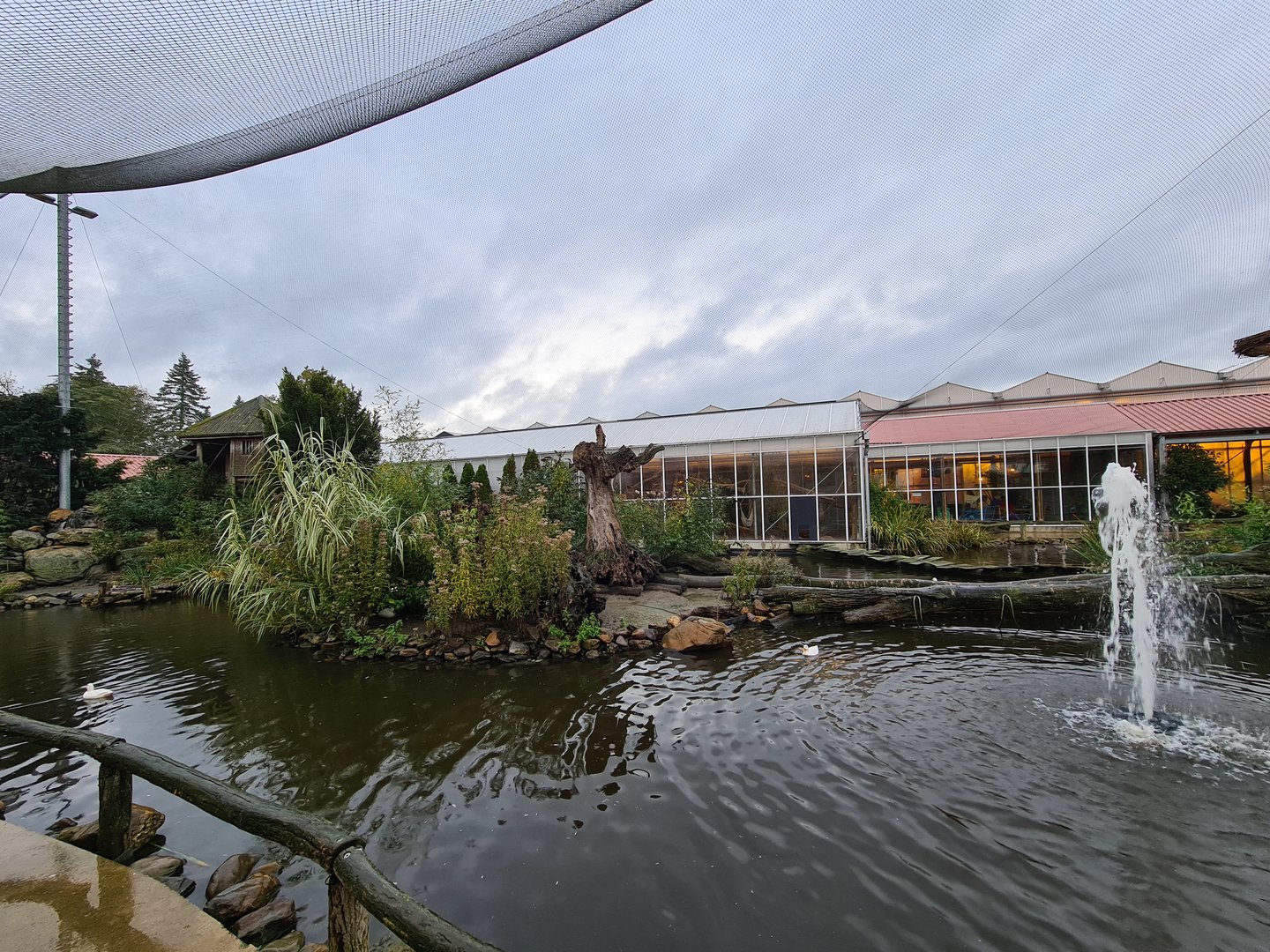 Lemur islands in Lemur kingdom