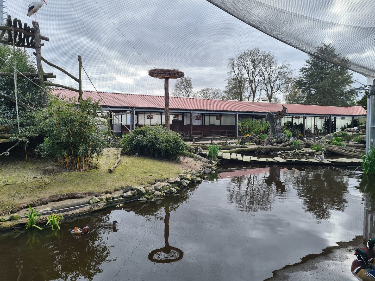 Lemur islands in Lemur kingdom