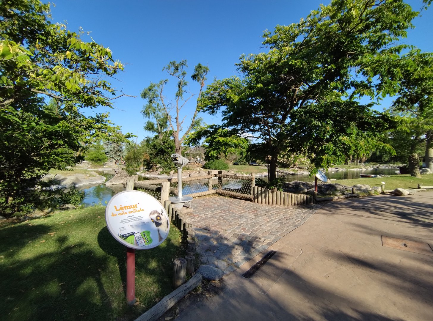 Lemur islands - Temaiken