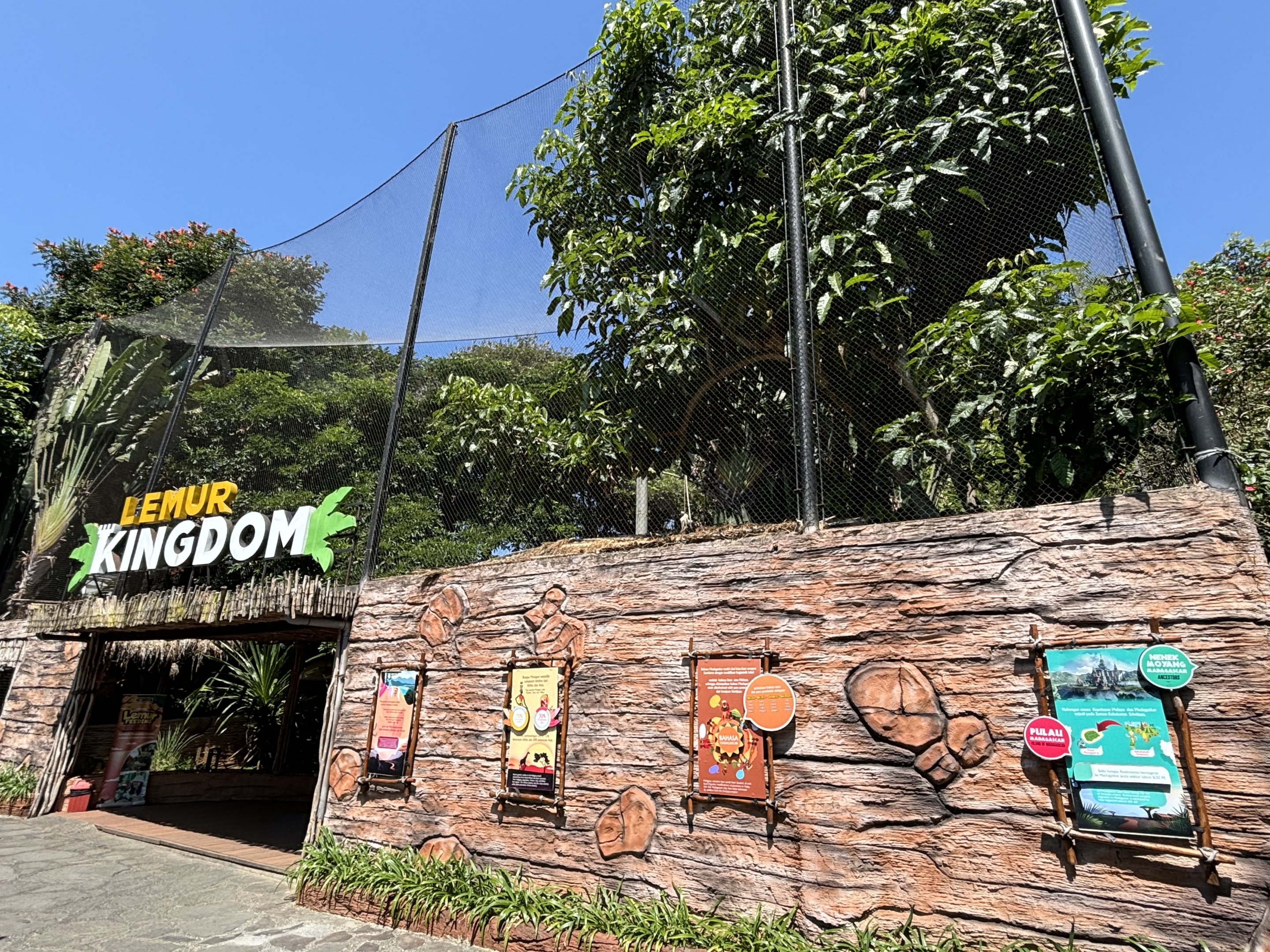 Lemur Kingdom (4 species)