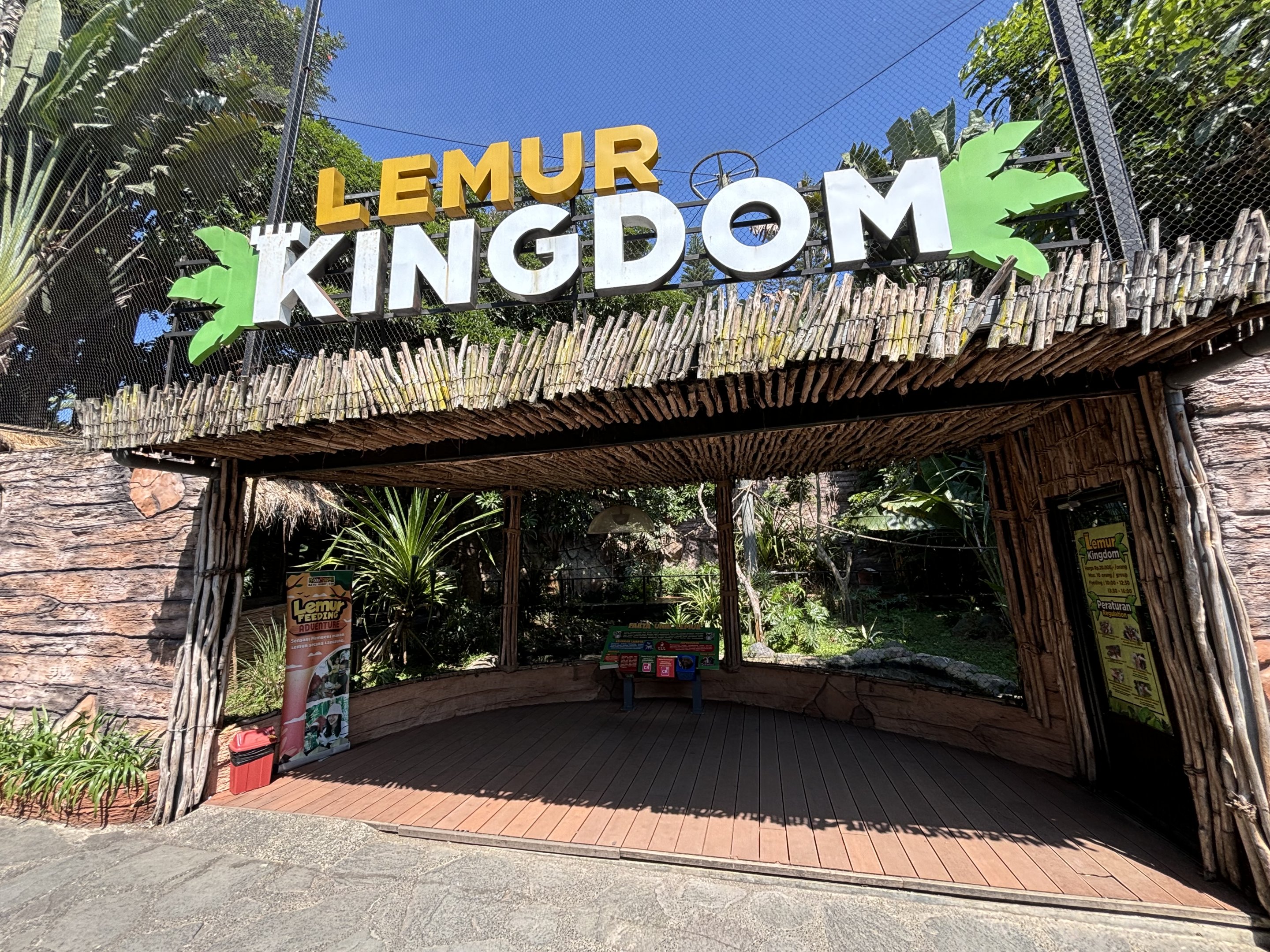 Lemur Kingdom (4 species)