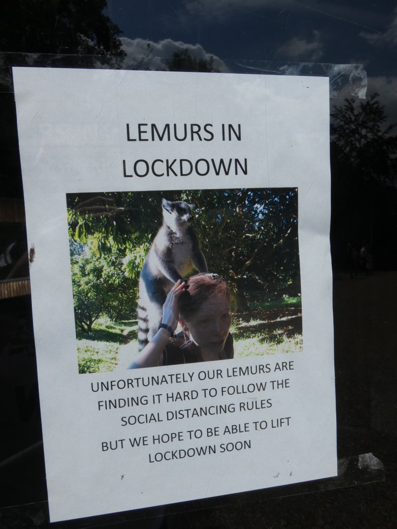 Lemur lockdown signage