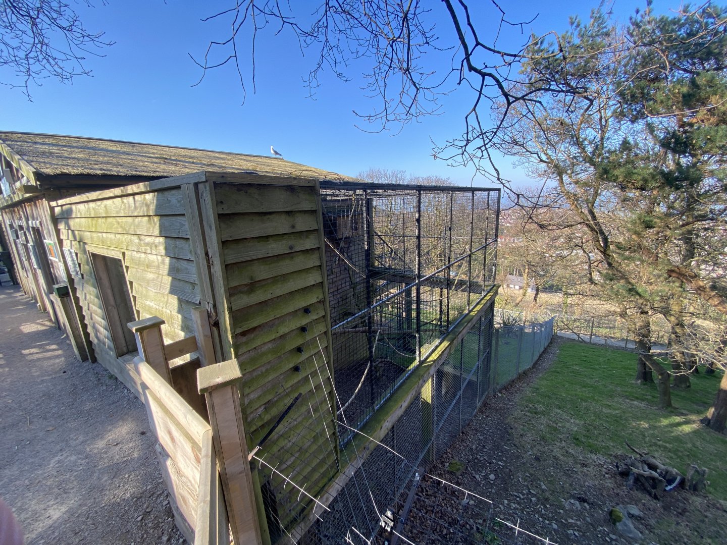 Lemur Lookout 190325