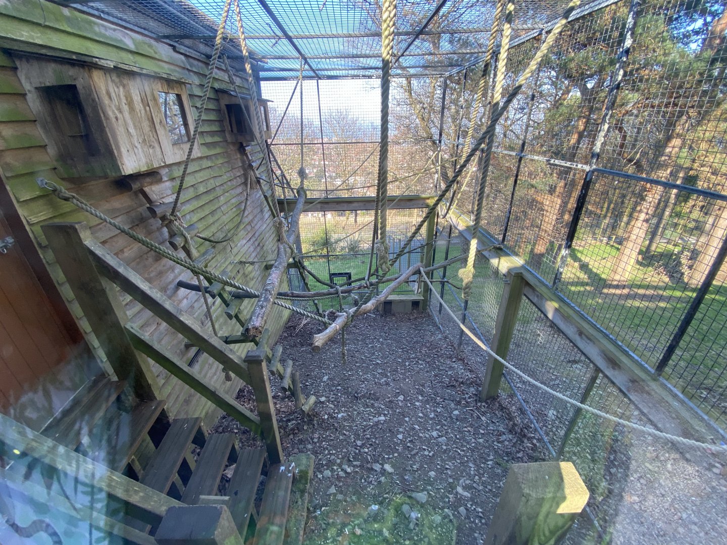 Lemur Lookout 190325