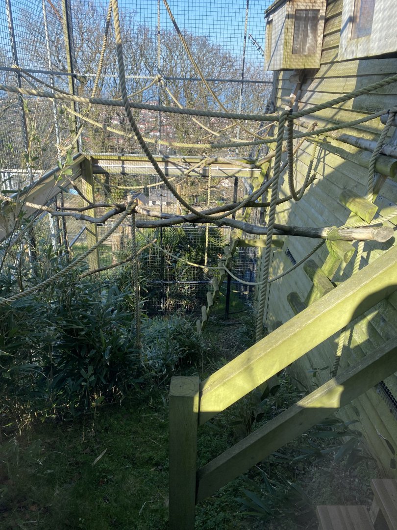 Lemur Lookout 190325