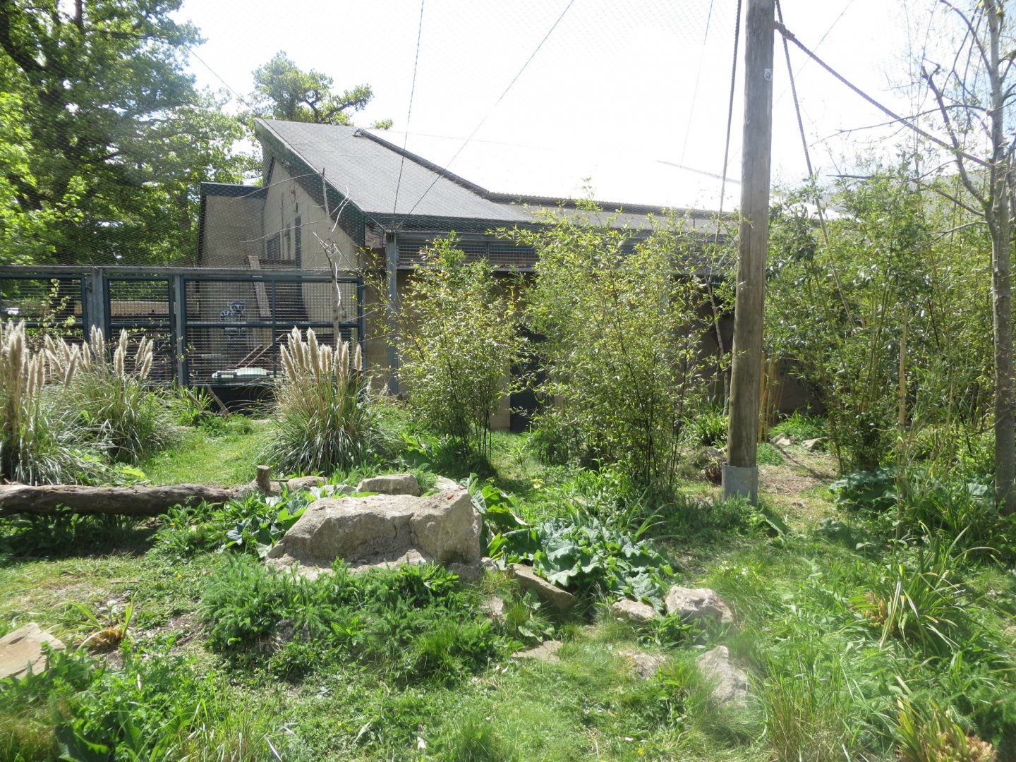 Lemur Loop walkthrough exhibit 110519