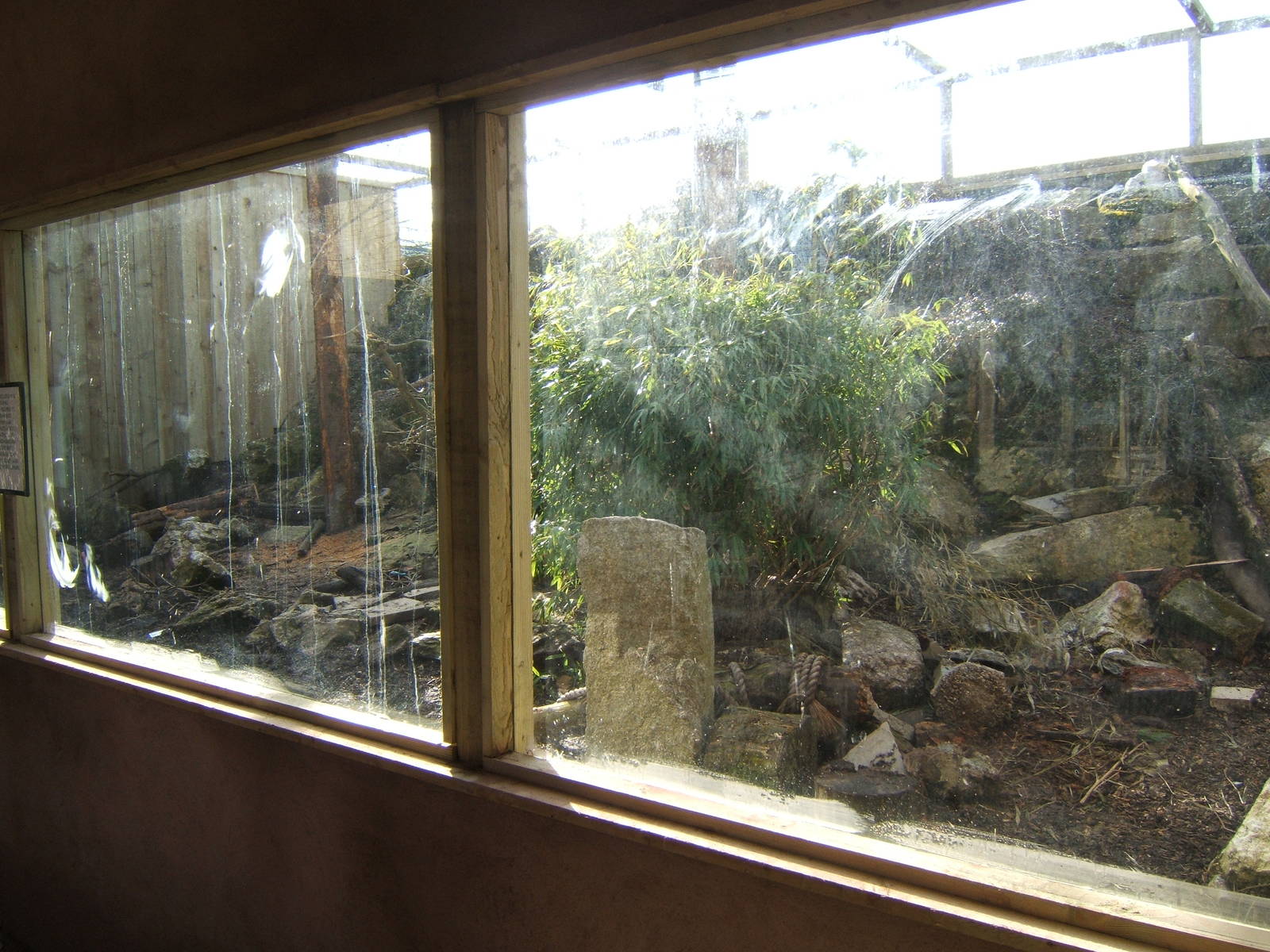 Lemur/Mongoose enclosure under construction