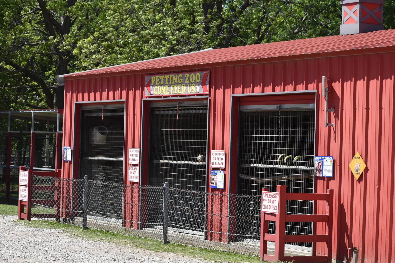 Lemur, Monkey, and Sloth Row