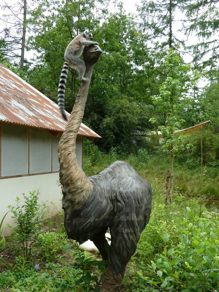 Lemur on extinct animal