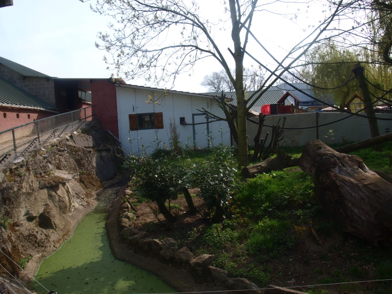 Lemur/Otter exhibit (April 19th, 2015)