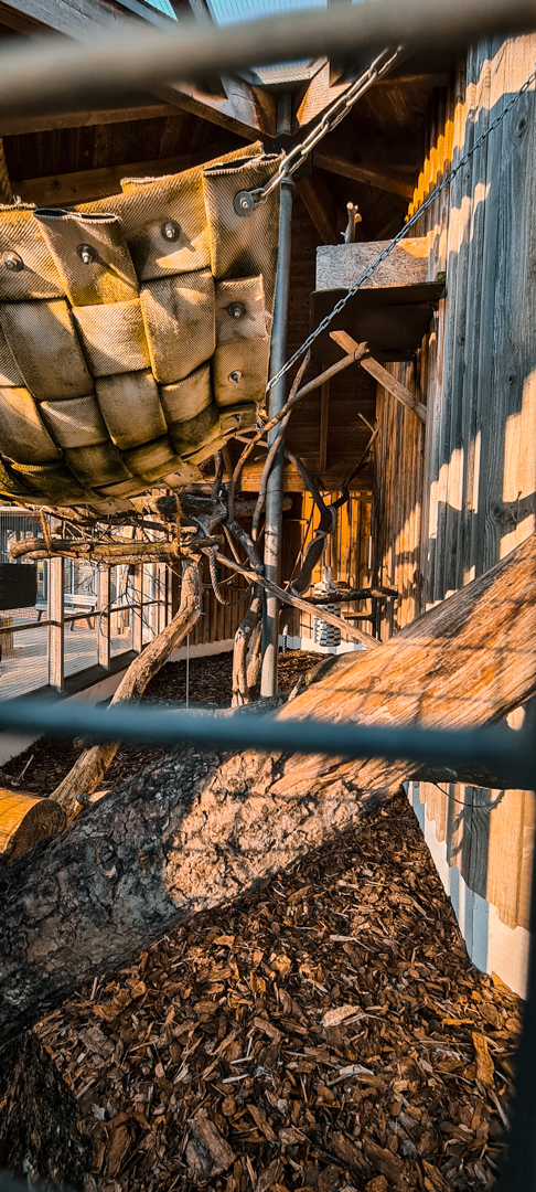 Lemur outdoor enclosure