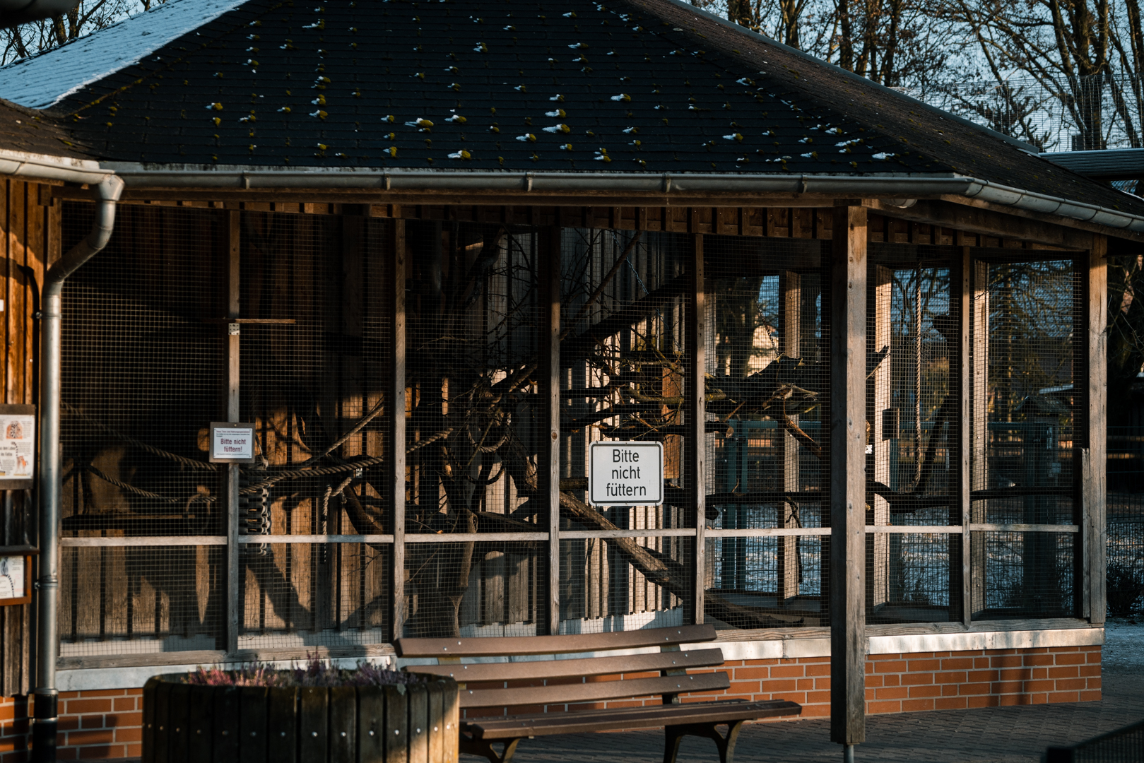 Lemur outdoor enclosure