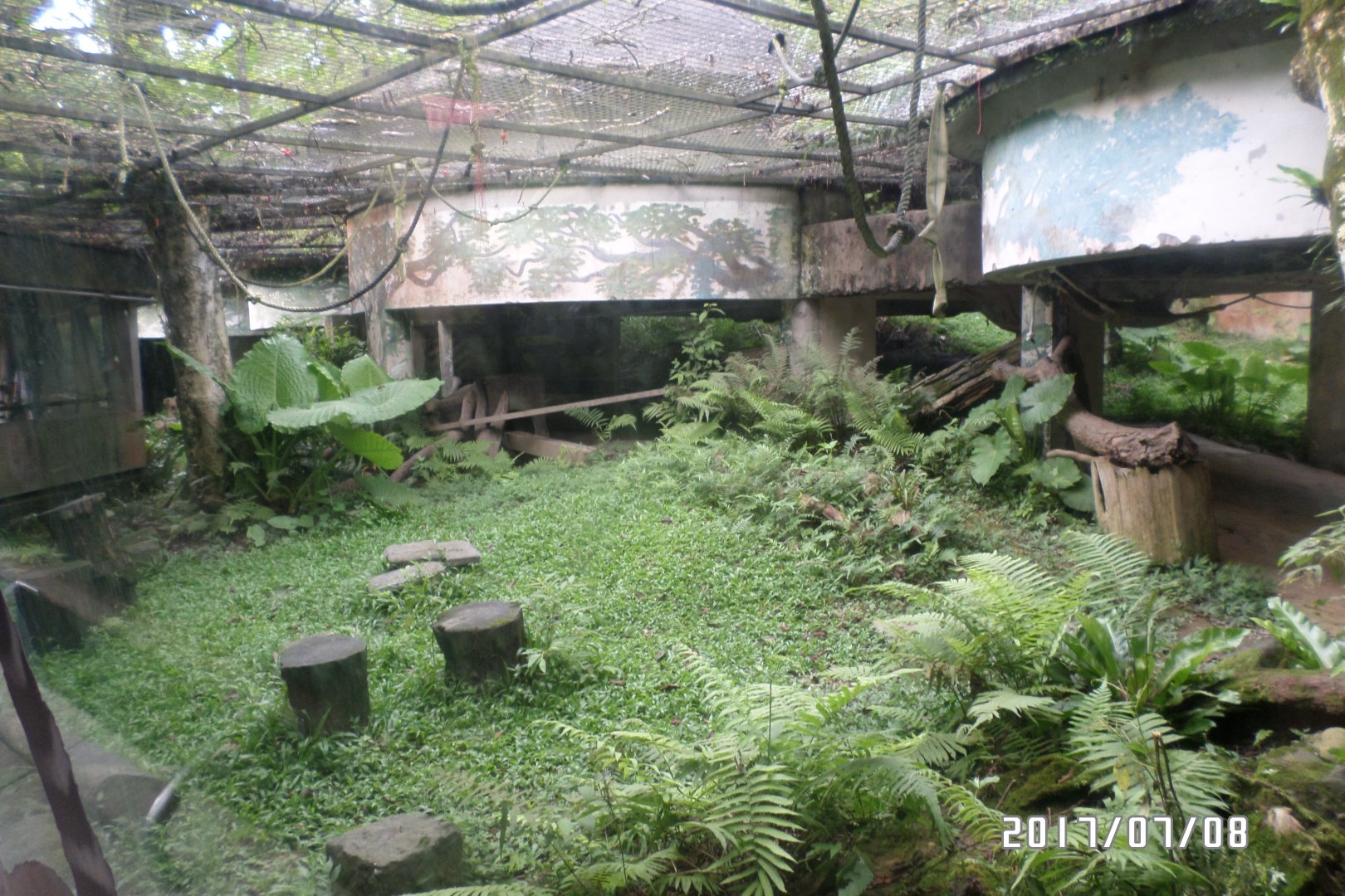 Lemur outdoor exhibit