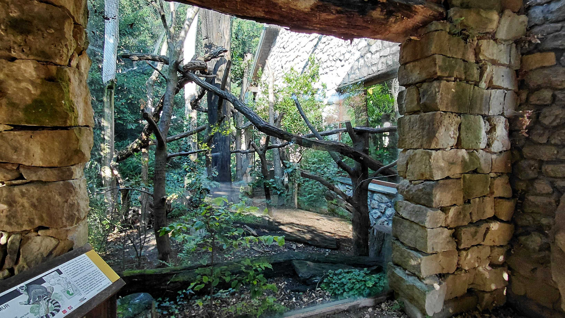 Lemur outdoor exhibit