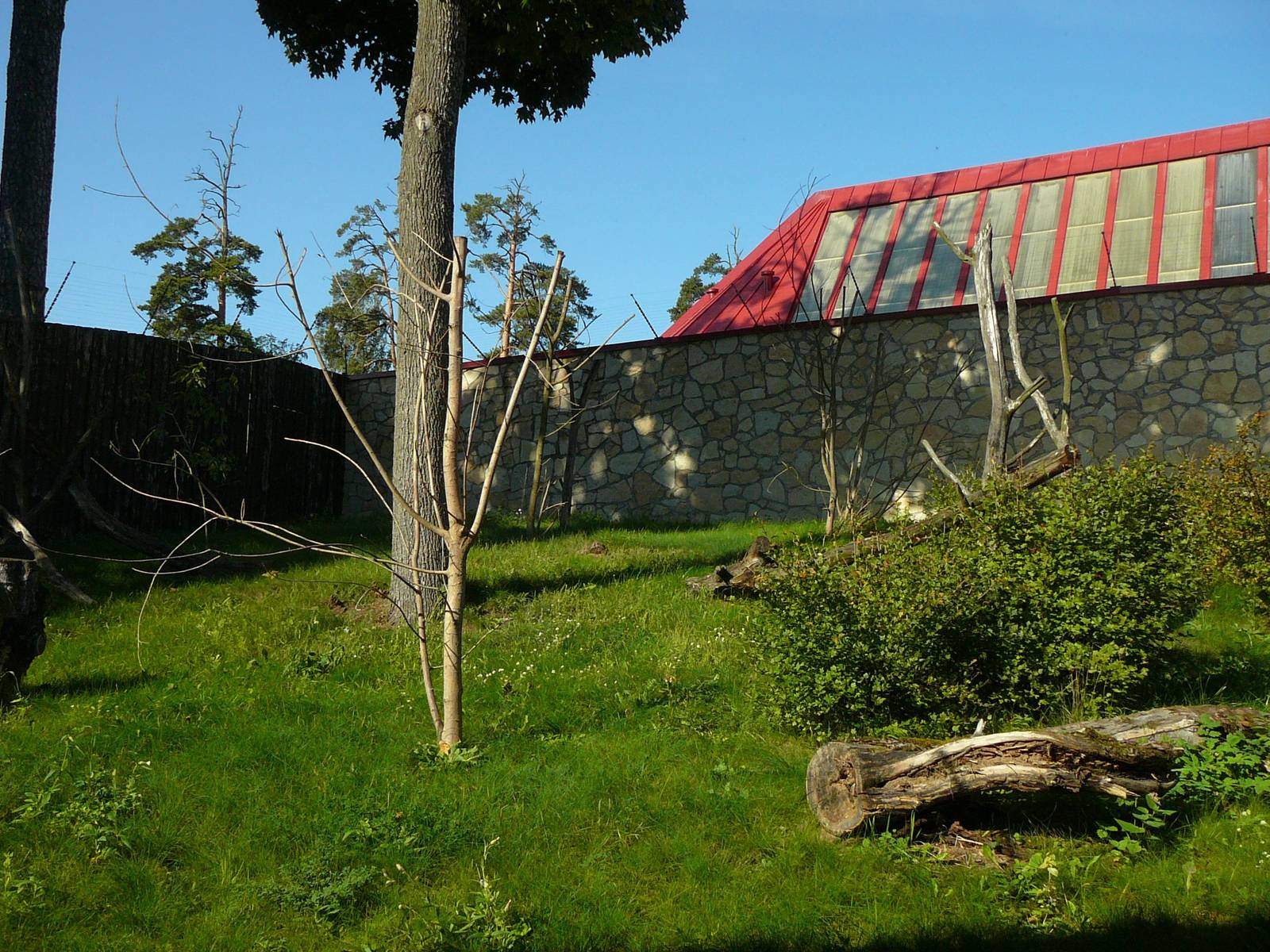 Lemur outside enclosure, Riga Zoo