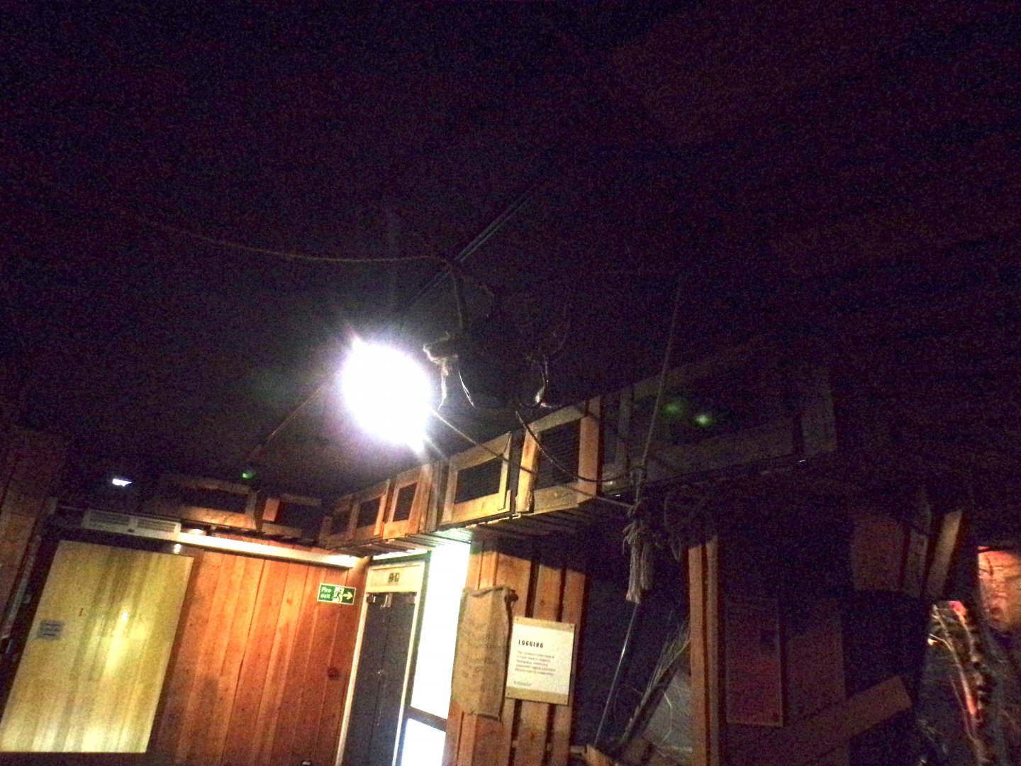 Lemur overhead tunnel in indoor area 11.2.25