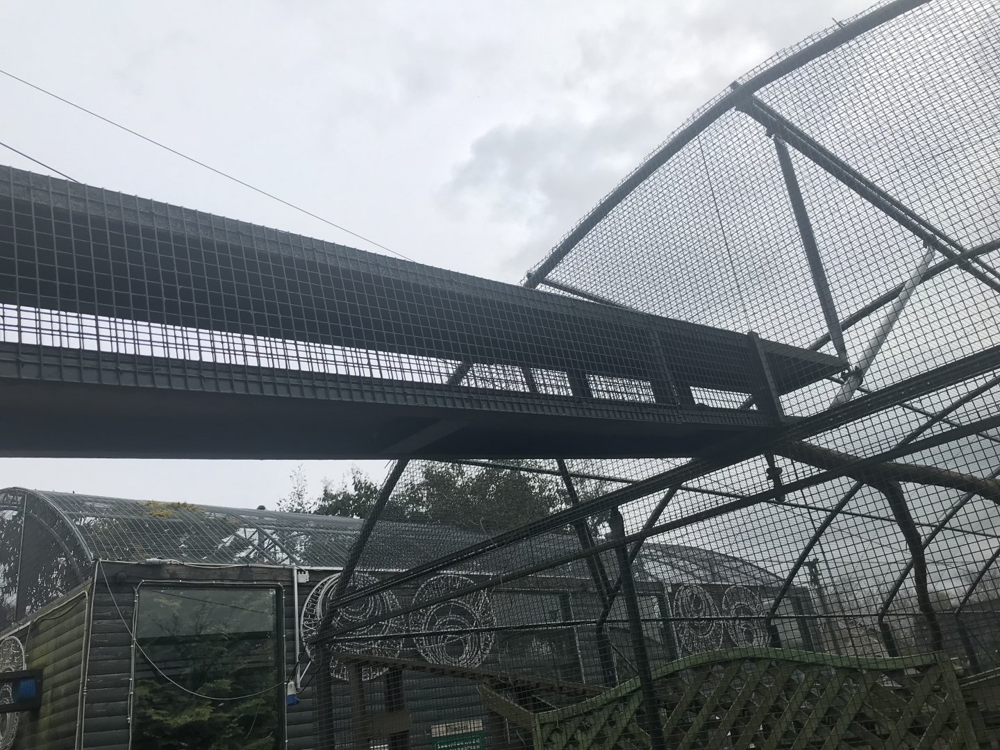 Lemur overhead tunnels