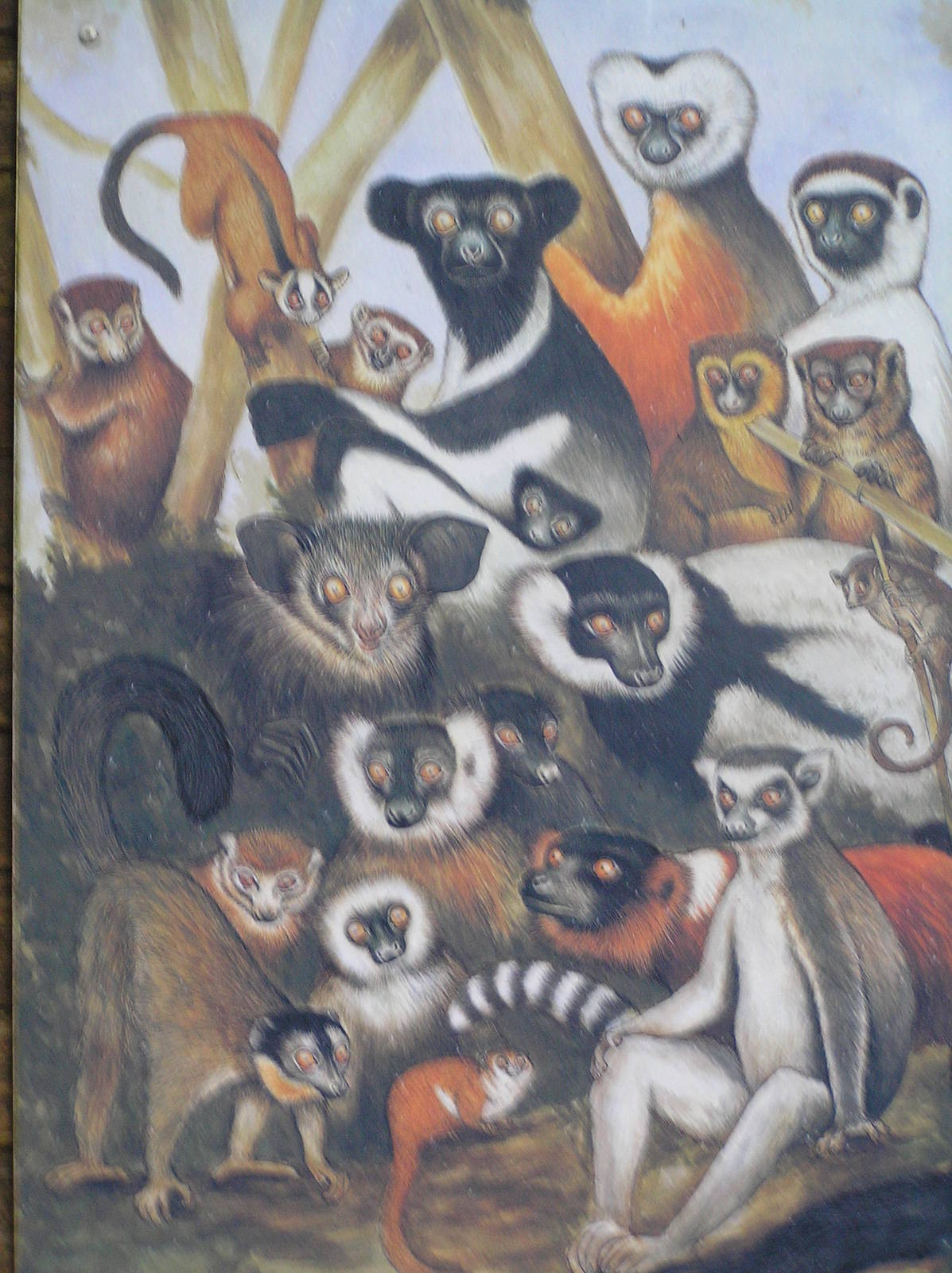 Lemur sign - Apenheul 06