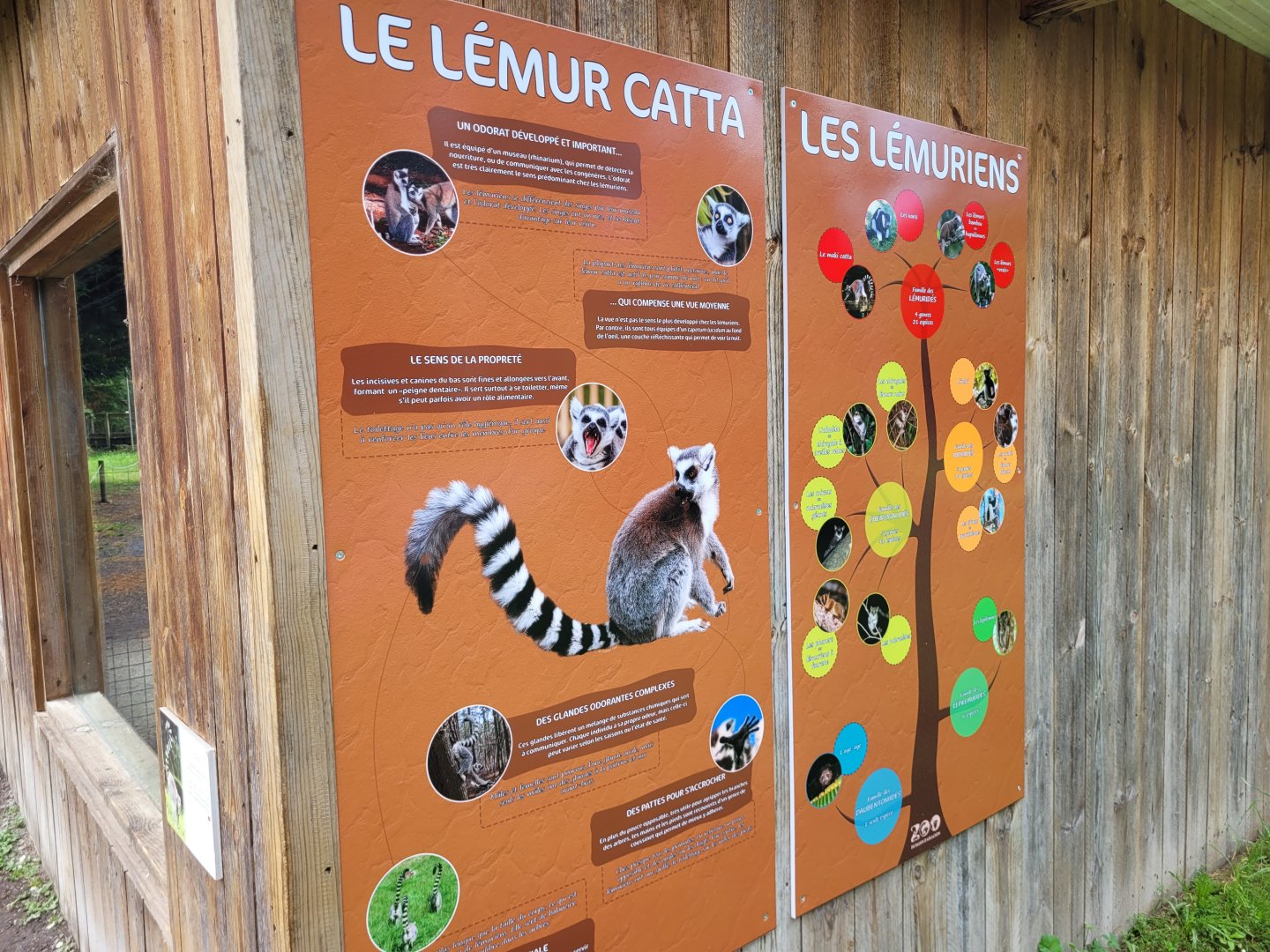 Lemur signs -Zoo du bassin d'Arcachon (2024)
