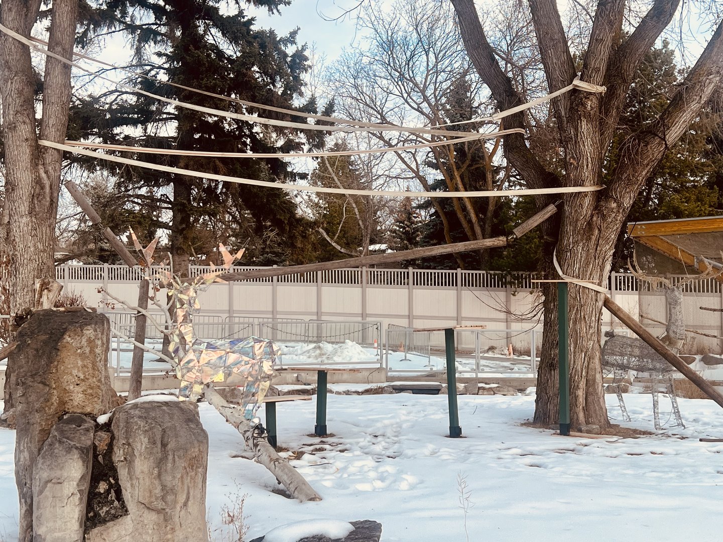 Lemur Summer Exhibit