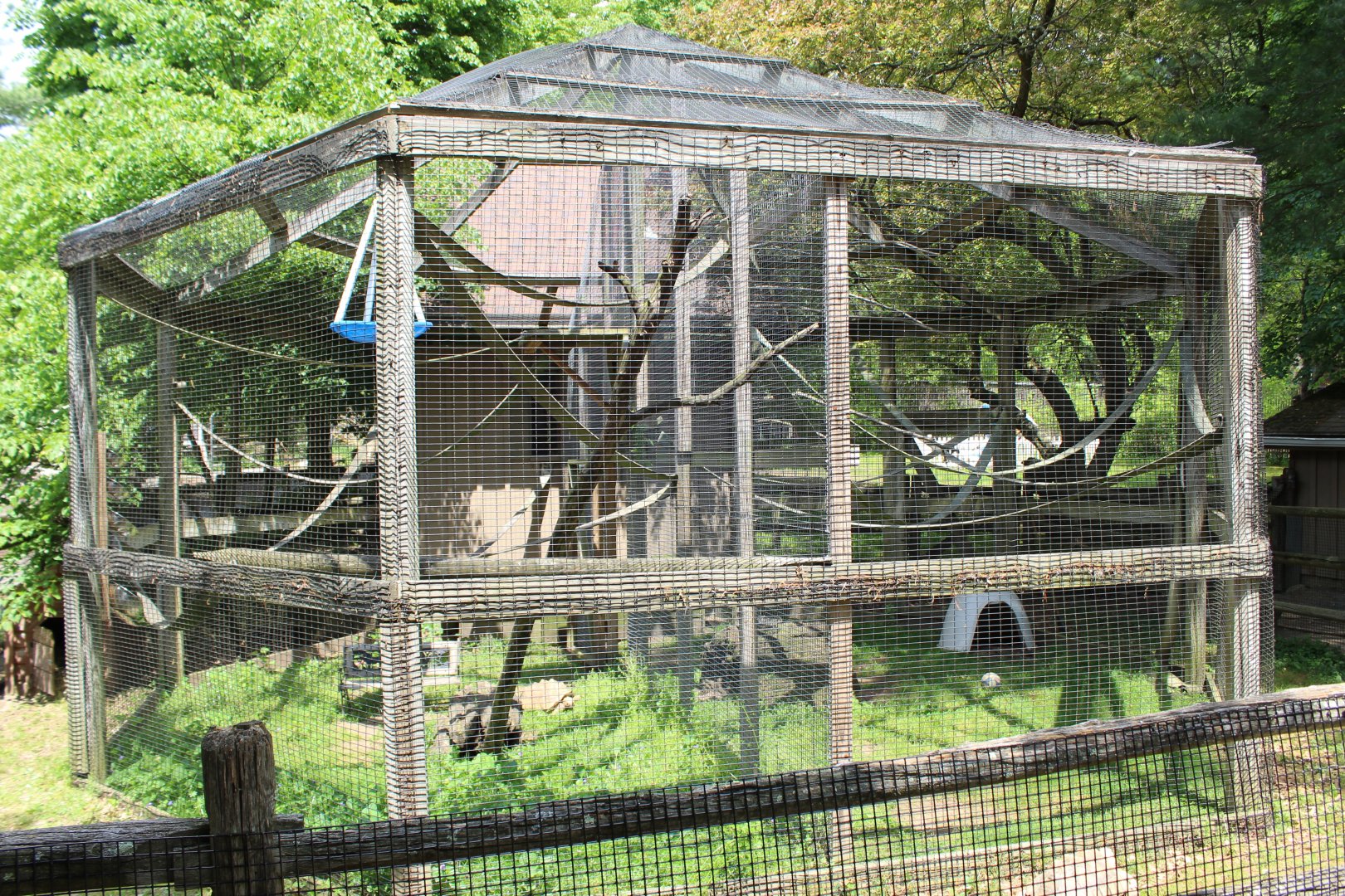 Lemur & Tortoise Enclosures