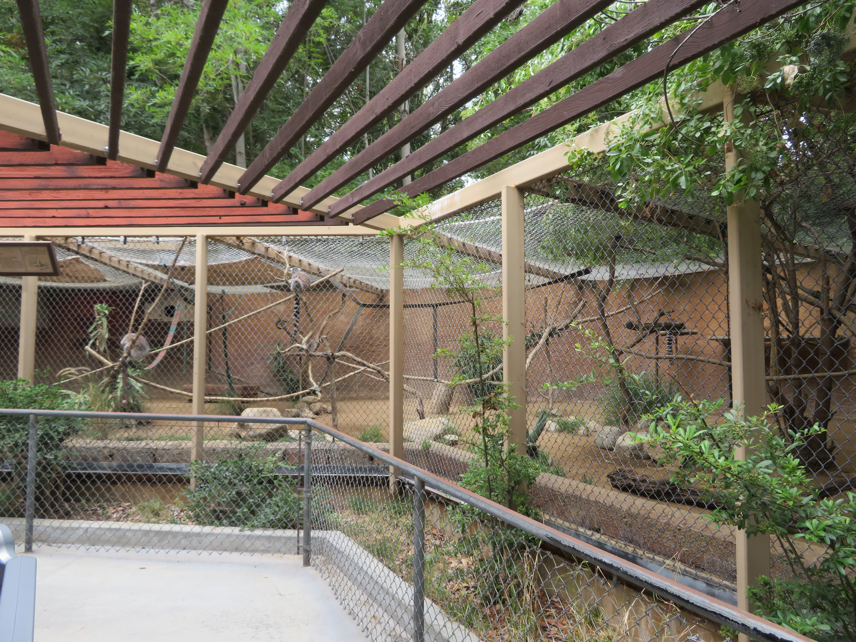 Lemur/Tortoise Roundhouse