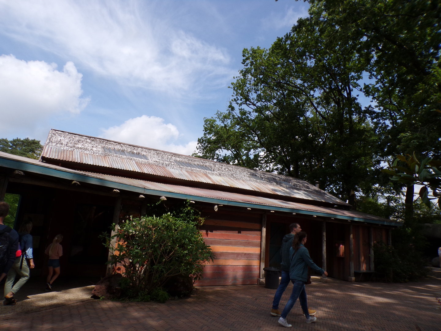 Lemur viewing area 6.7.23