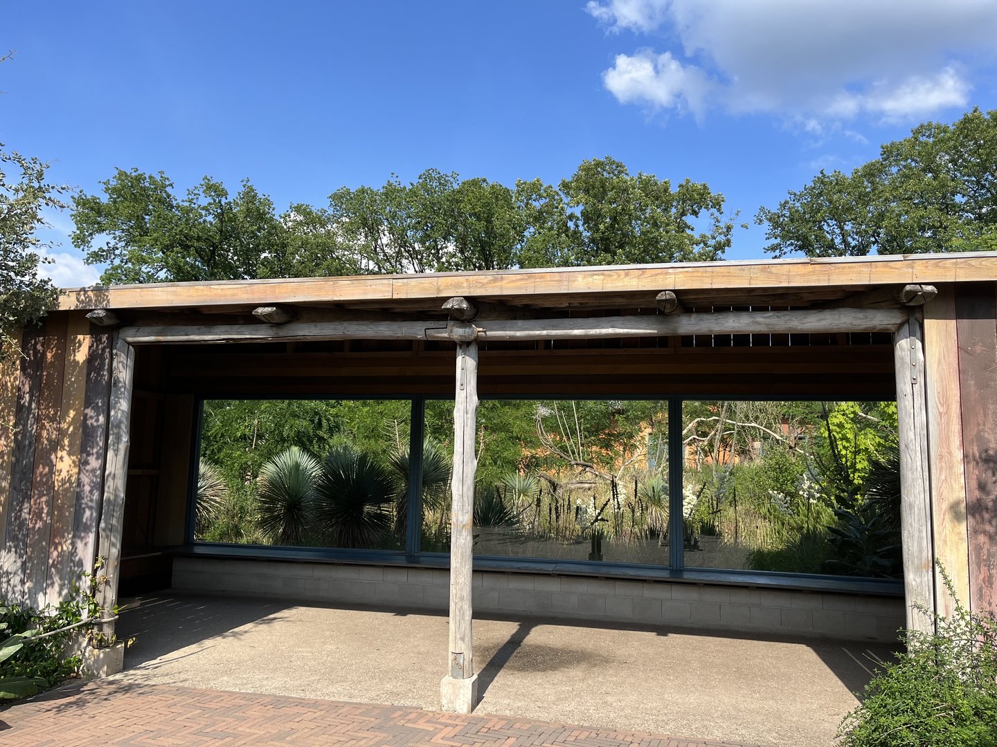 Lemur viewing hut 6.7.23