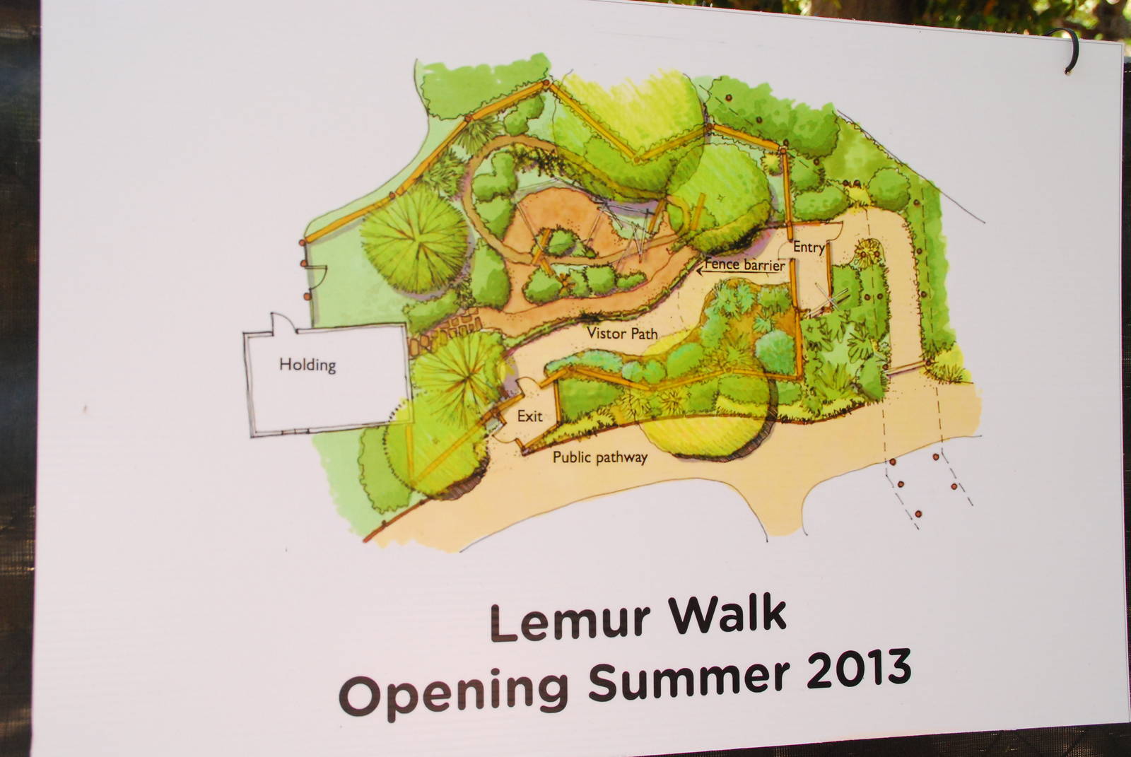 Lemur Walk Plan