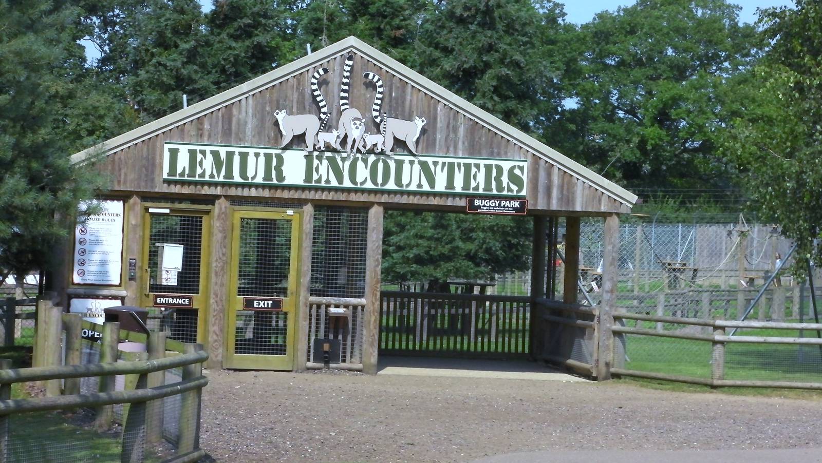 Lemur Walk-through  - 03.08.2011