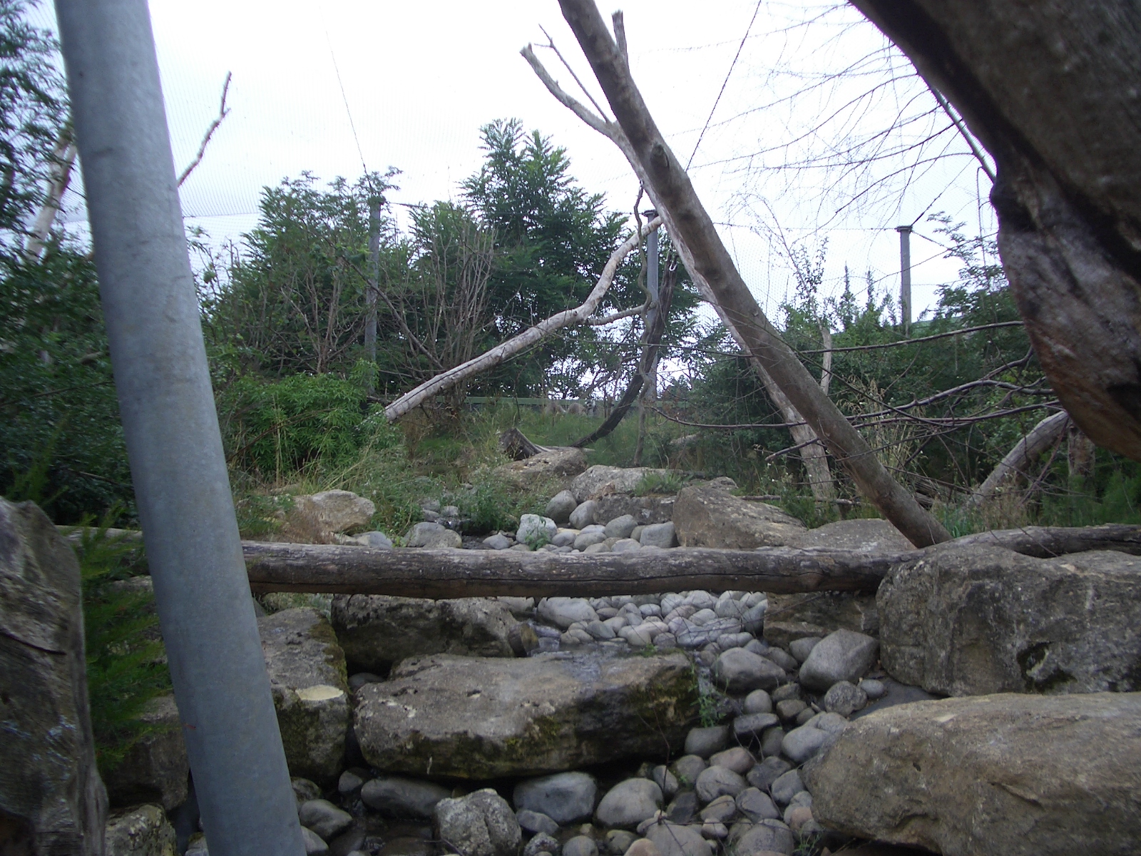 Lemur Walk-Through - 24.07.2010