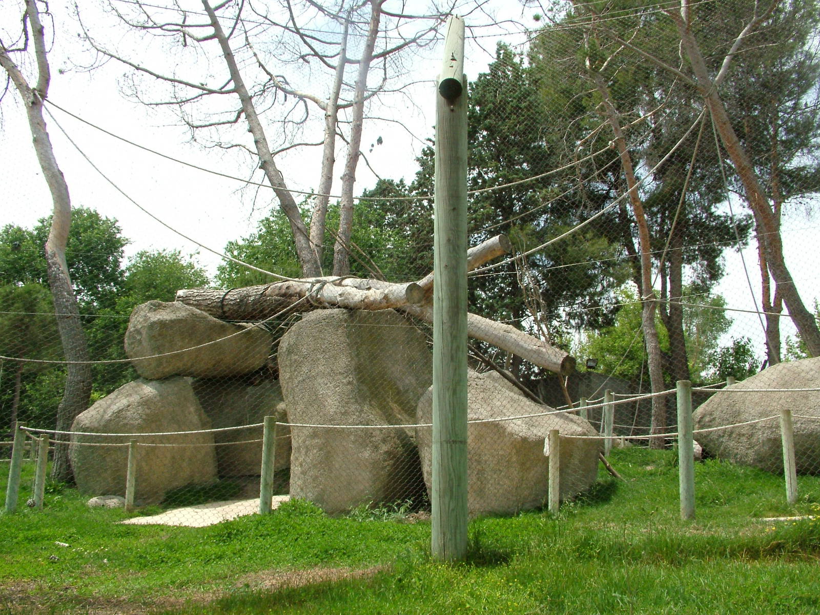 Lemur Walk-through at Madrid Zoo Aquarium, 26/05/11