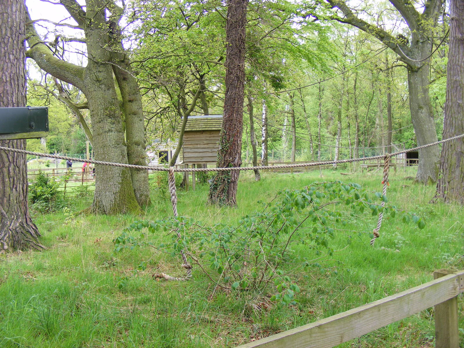 Lemur walk-through enclosure at Blair Drummond Safari Park, 19 May 2010