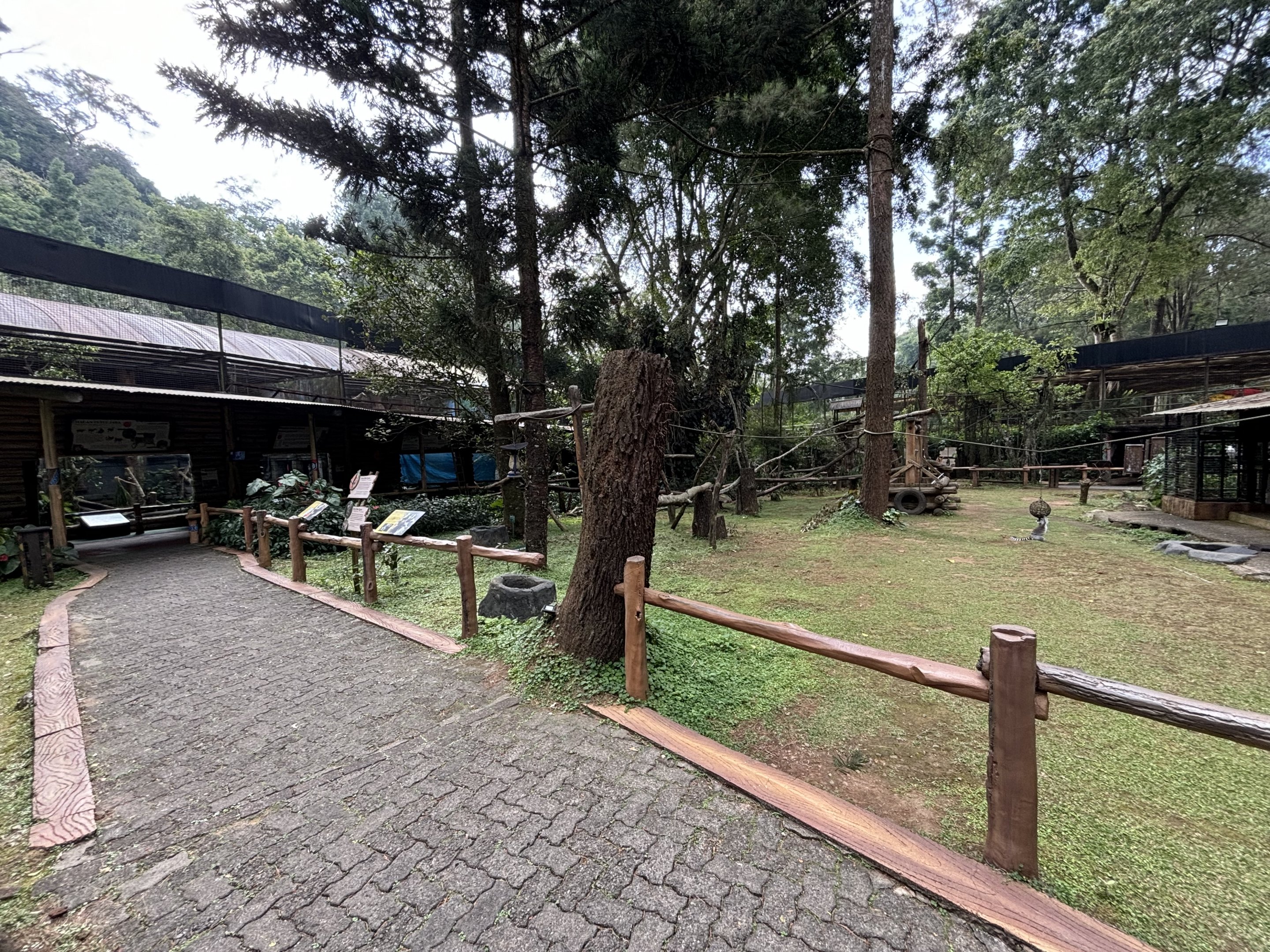 Lemur Walk-through Exhibit