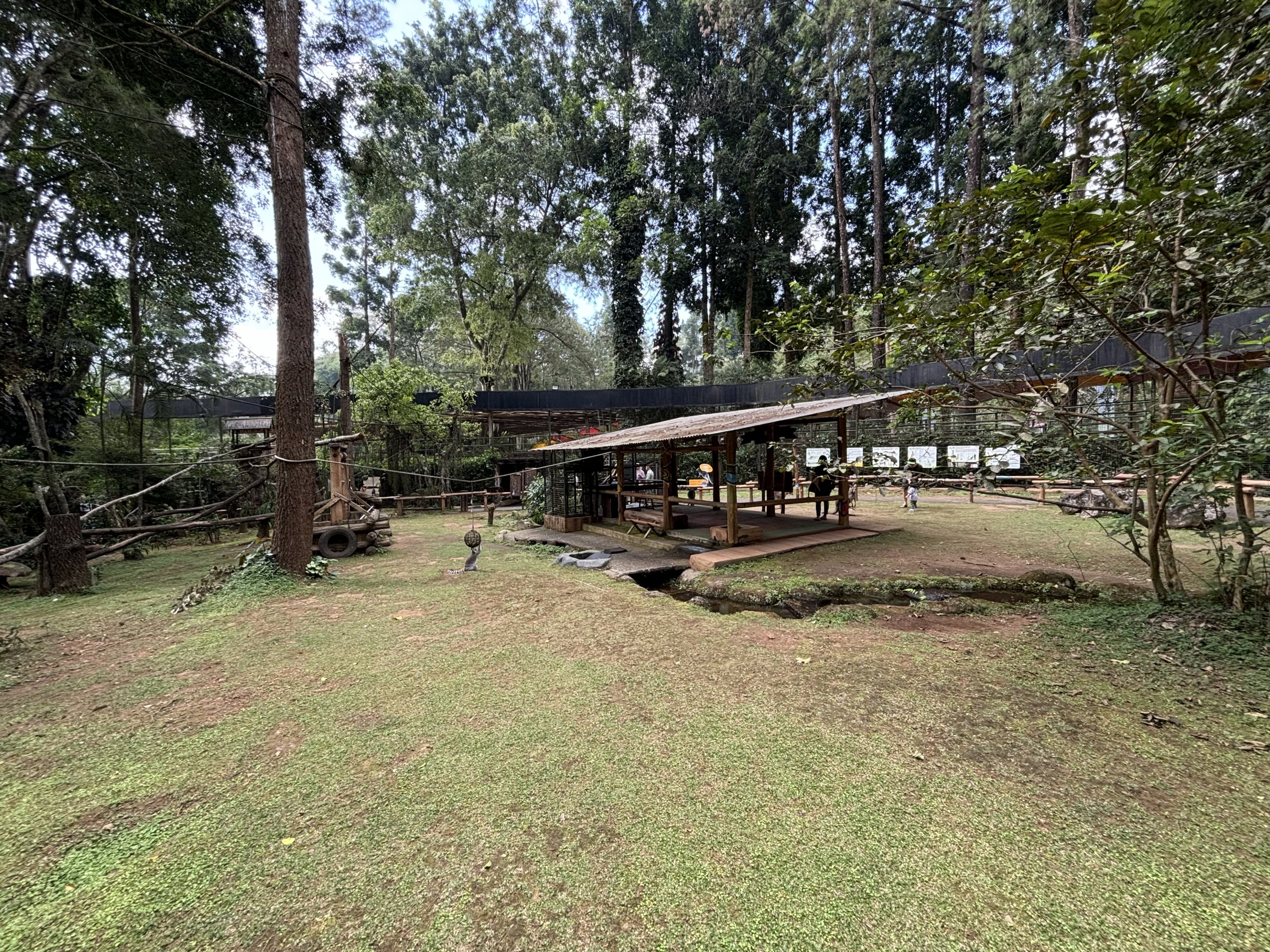 Lemur Walk-through Exhibit