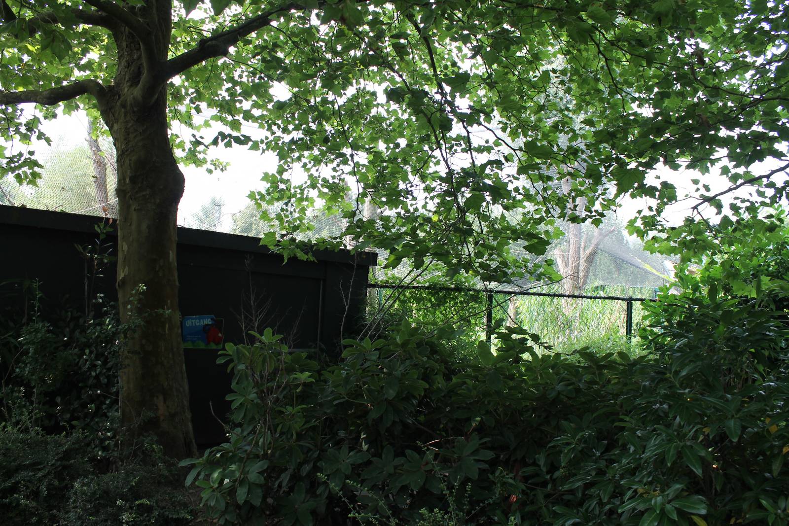 Lemur walk-through from the out-side