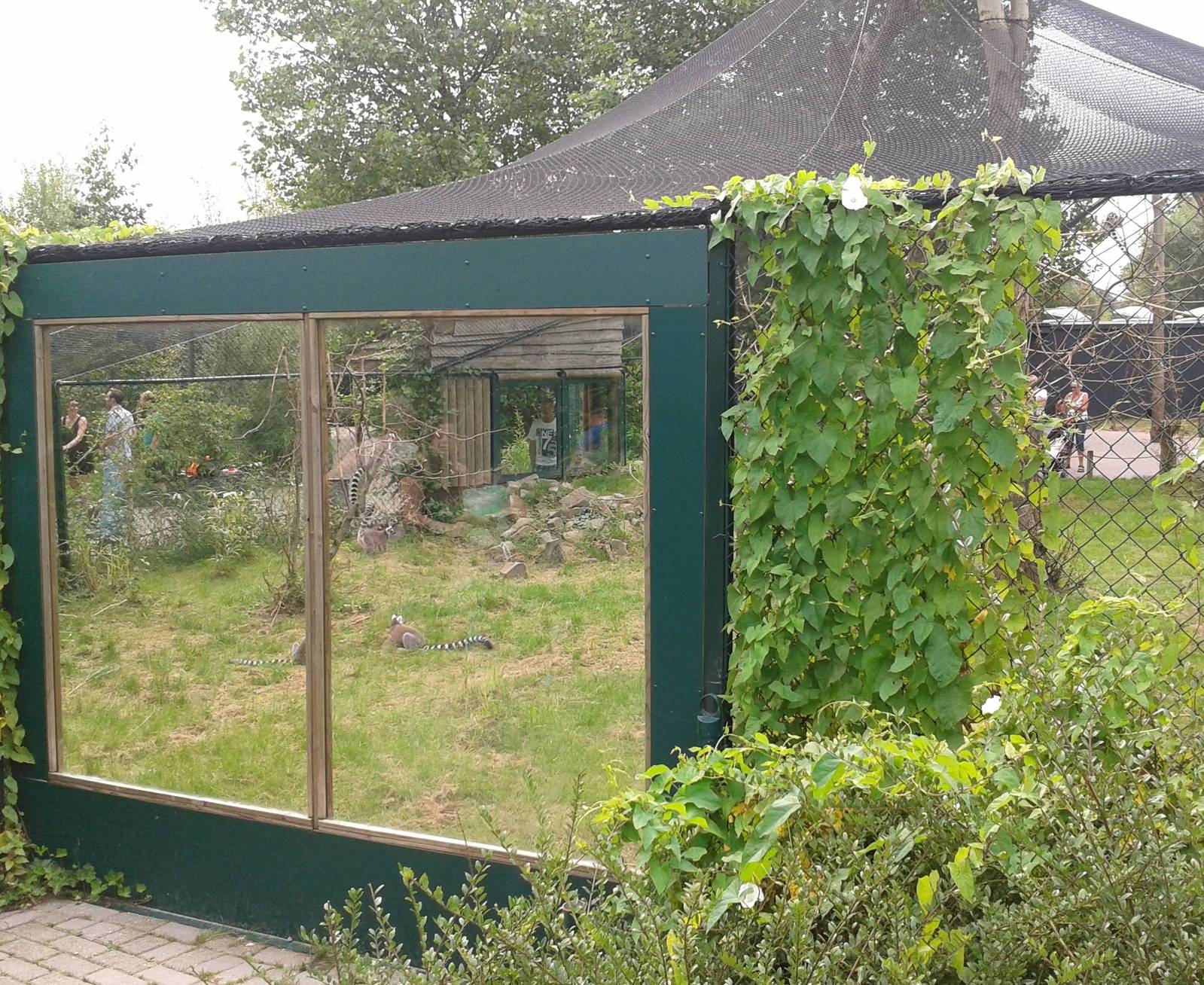 Lemur walk-through from the outside