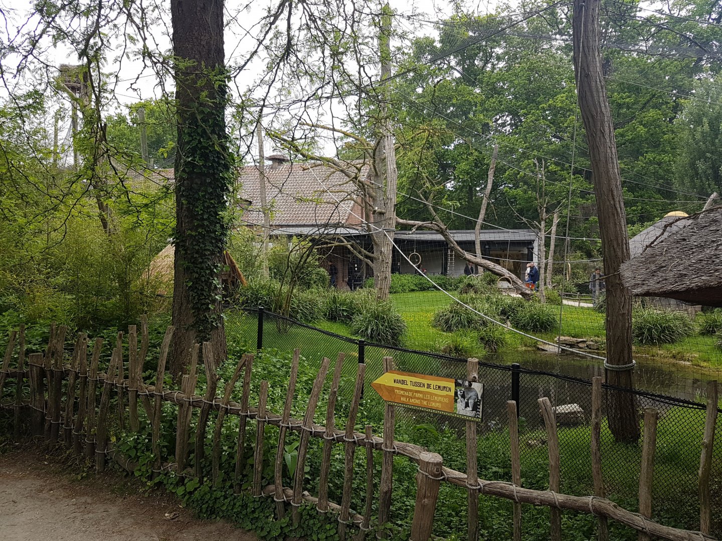 Lemur Walk-through  from the outside