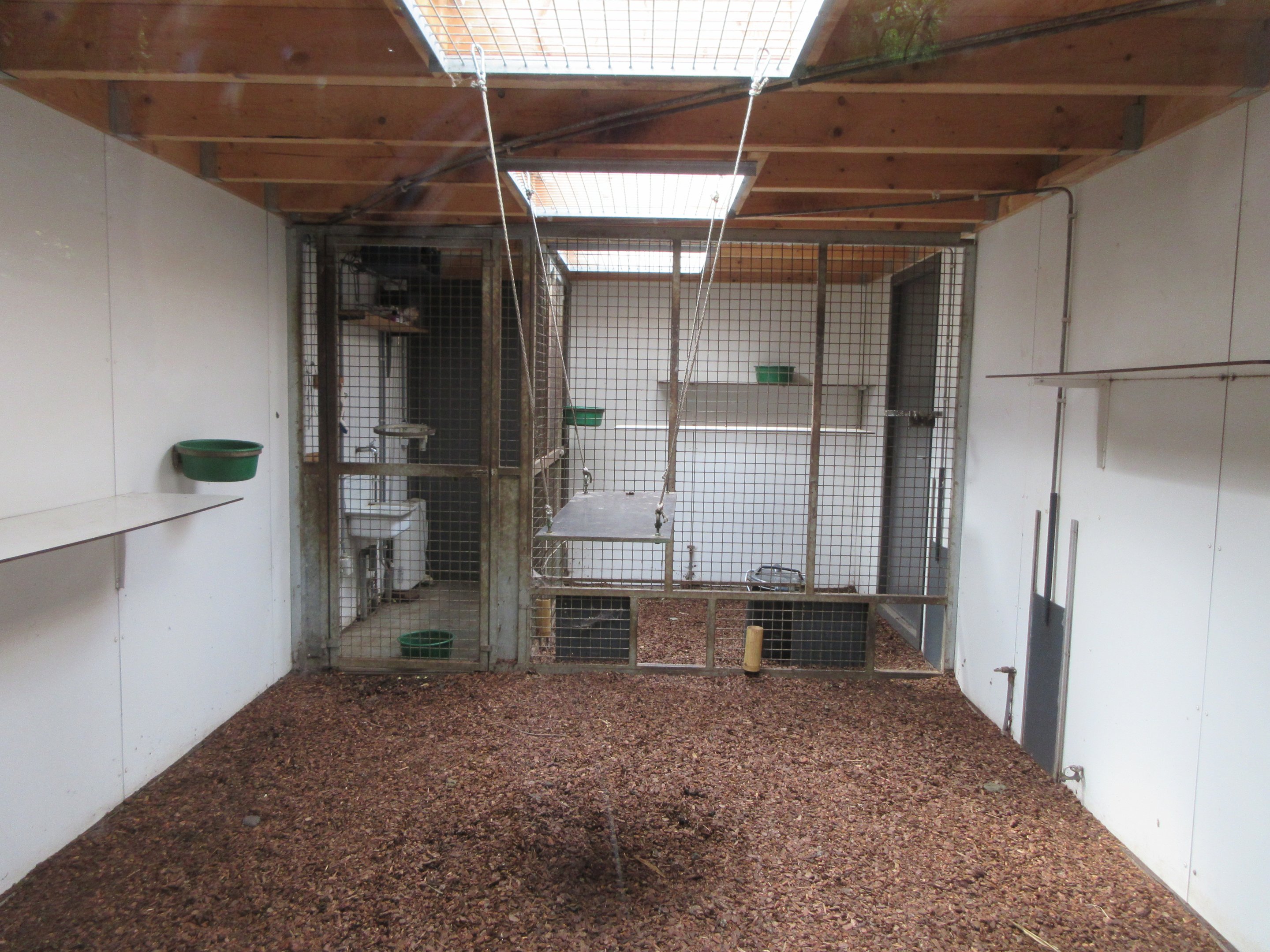 Lemur Walk-through - indoor area