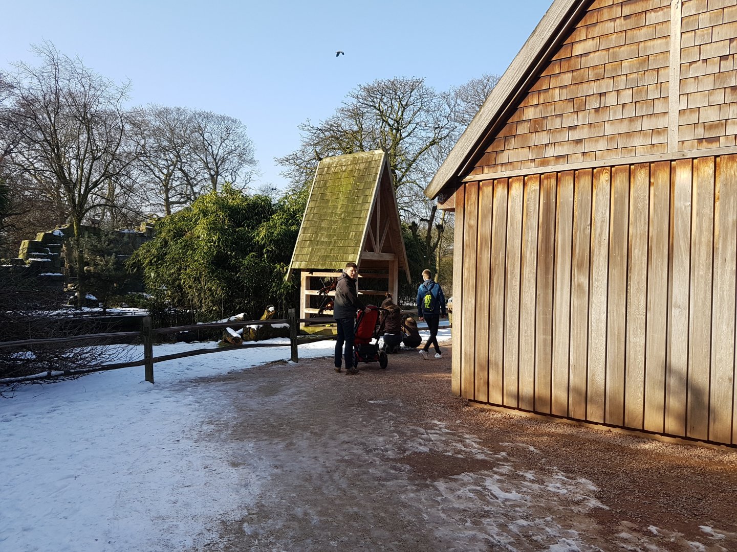 Lemur-walk-through island