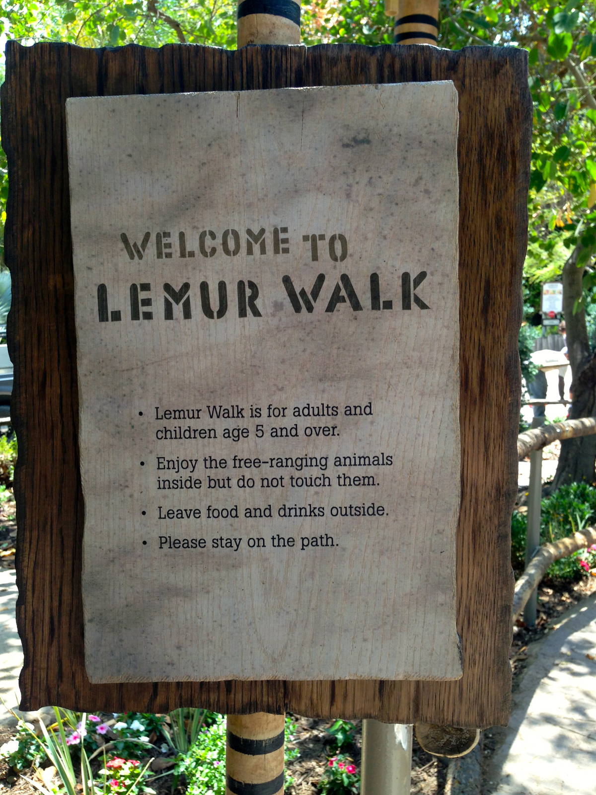 Lemur Walk