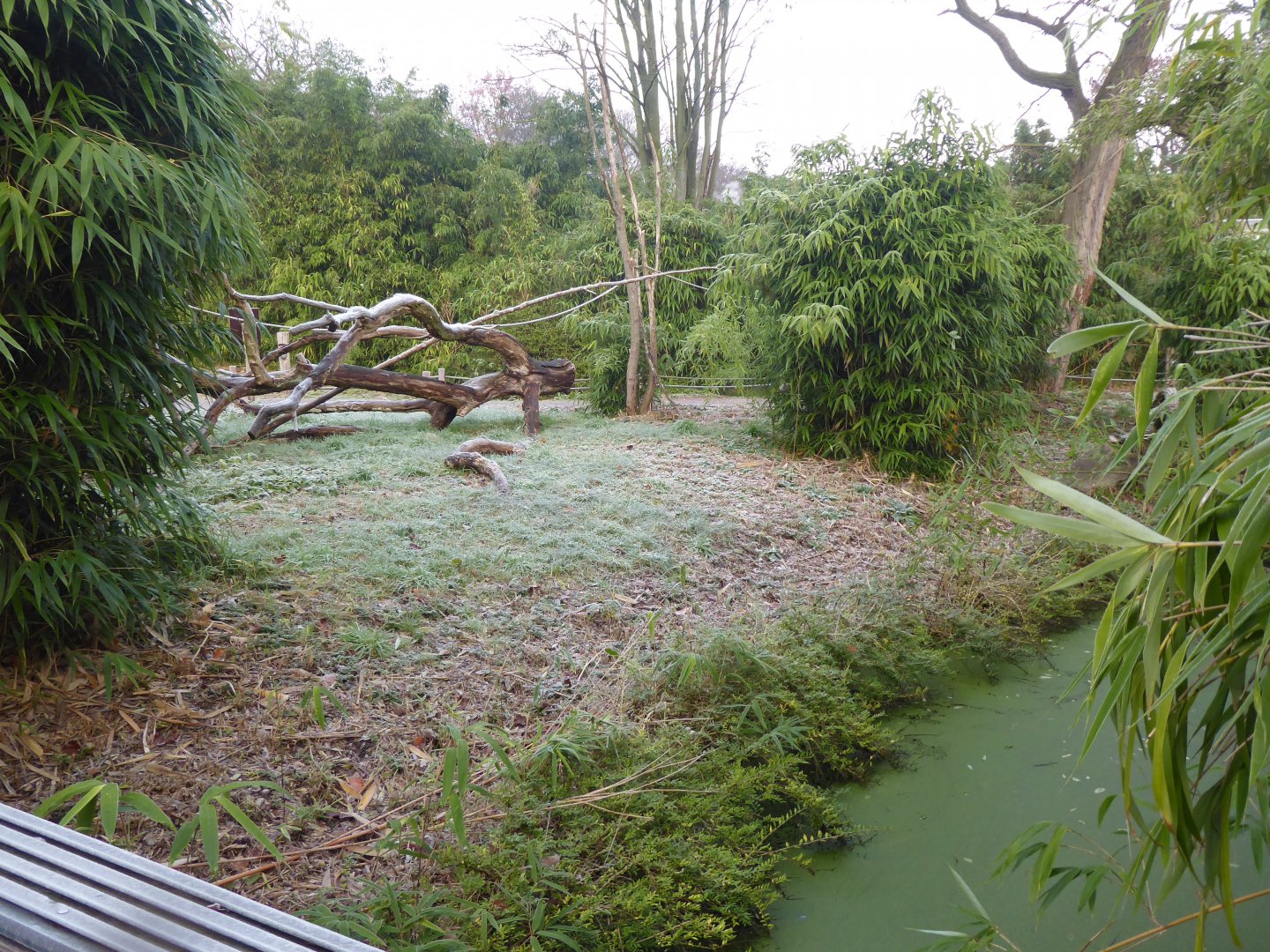 Lemur walkthrough 011219